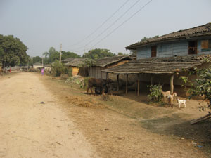 Nepal_photos_2009